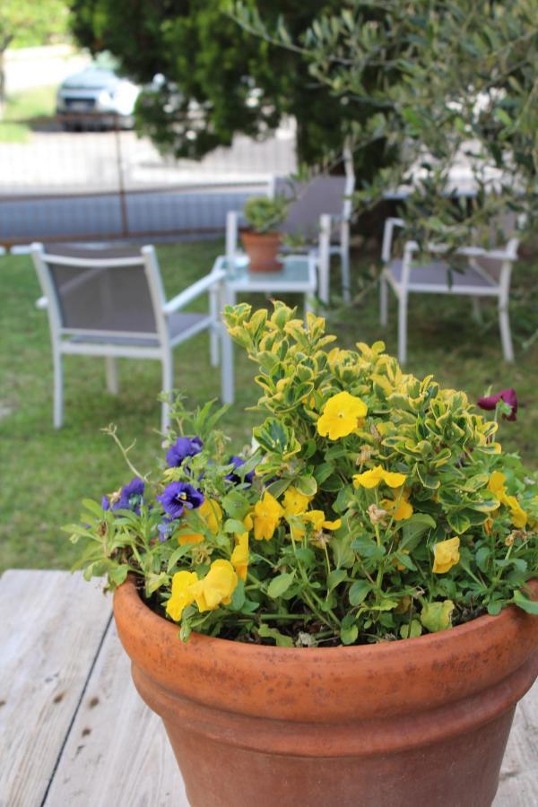 Bed & Breakfast Alle Terme *